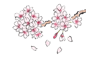 桜アイコン